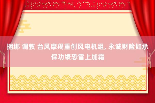 捆绑 调教 台风摩羯重创风电机组， 永诚财险如承保功绩恐雪上加霜