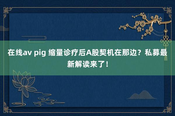 在线av pig 缩量诊疗后A股契机在那边？私募最新解读来了！