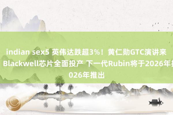 indian sex5 英伟达跌超3%！黄仁勋GTC演讲来了：Blackwell芯片全面投产 下一代Rubin将于2026年推出