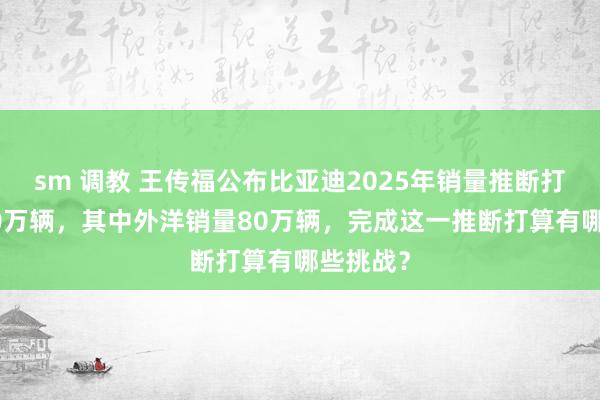 sm 调教 王传福公布比亚迪2025年销量推断打算为550万辆，其中外洋销量80万辆，完成这一推断打算有哪些挑战？