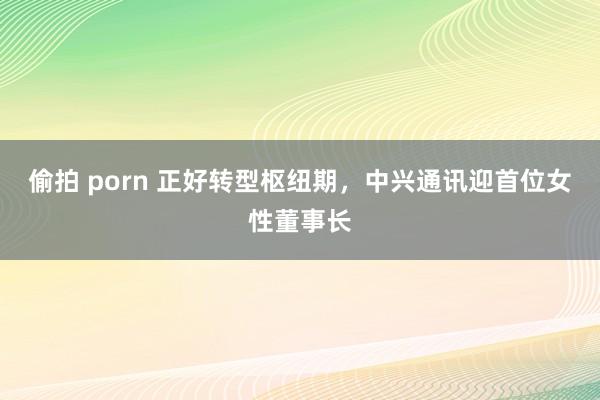 偷拍 porn 正好转型枢纽期，中兴通讯迎首位女性董事长