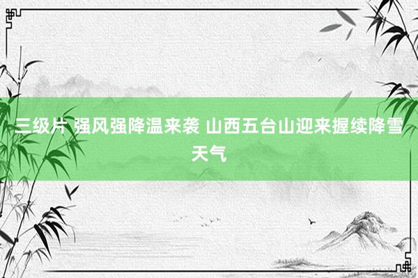 三级片 强风强降温来袭 山西五台山迎来握续降雪天气